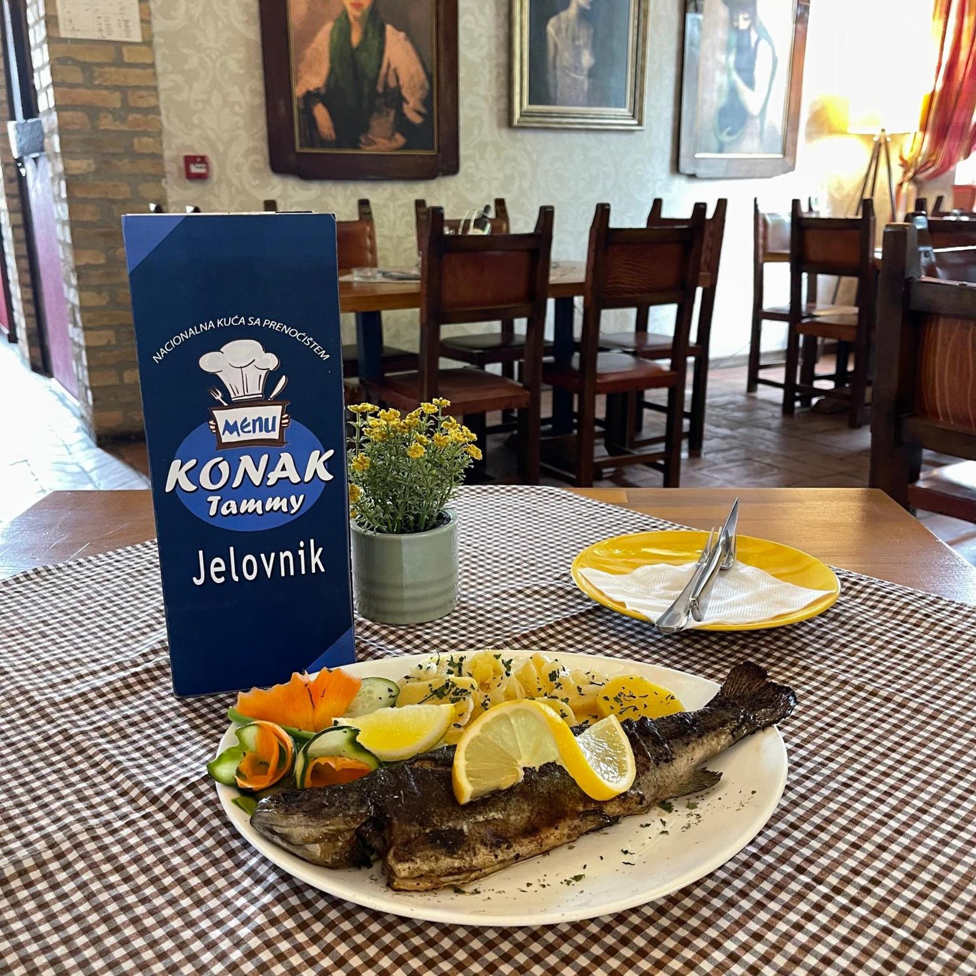 Hotel Konak Tammy Platicevo - Šabac Exteriör bild